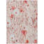 Tapis saumon intérieur / extérieur lavable à la machine Claudian ACN1504-103146782