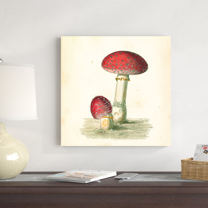 Champignons français III, H 20 po x l 20 po