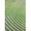 Abstract Area Rug-70781864