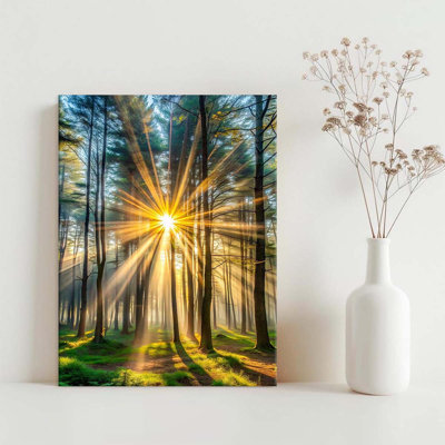 Wrapped Canvas Print