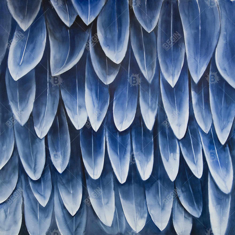 «Plumage bleu»