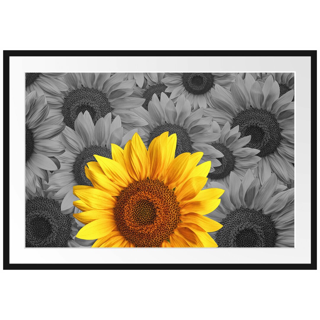 Gerahmtes Poster Schöne Sonnenblumen