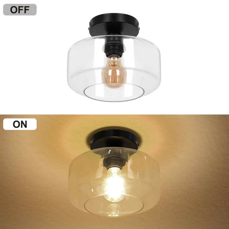 1-Light 9"Modern Flush Ceiling Light Black Fixtures with Clear Glass Shade for for Living Room Dining Room Hallway Entryway
