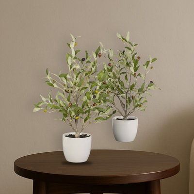 Olive Tree with Vase