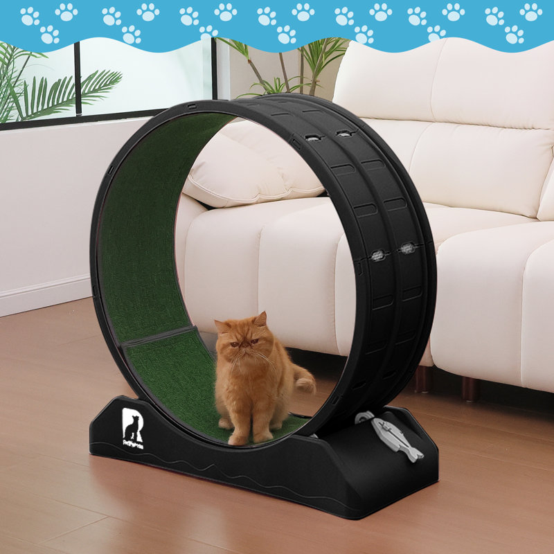 Roue d'exercice pour chat 33,5 "sans bruit, Noir