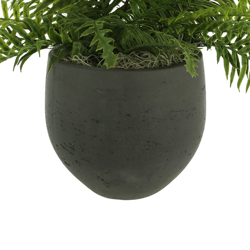 Outdoor UV-Rated Fern in Fiberstone Pot, Black
