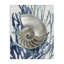 «Shell Coral Beach Blue» par Caroline Kelly - reproduction d'art-367380279-367380273