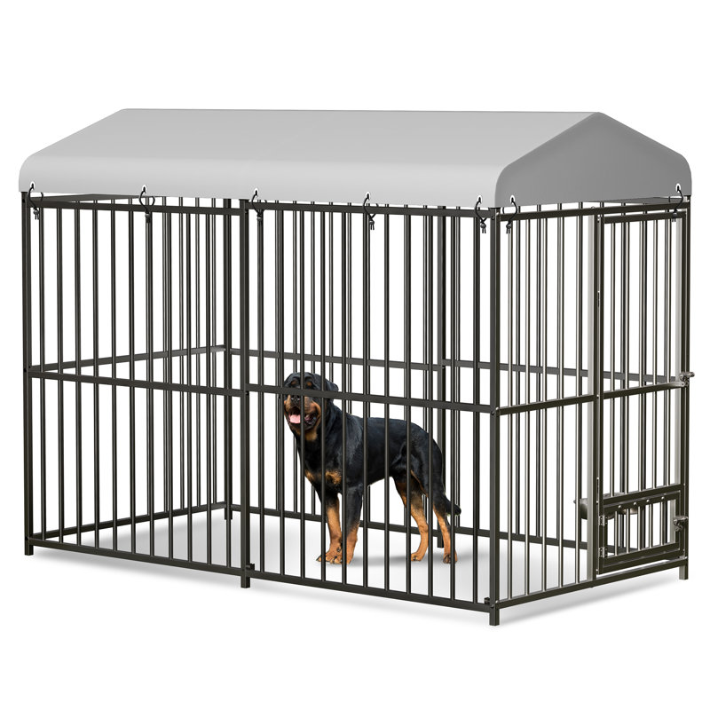 Grand chenil d'extérieur, cage pour chien robuste avec toit