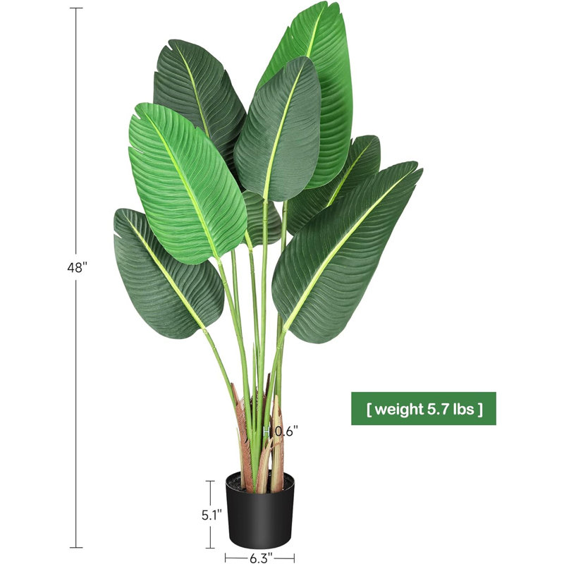 Plant, Green, 48cm H x 16cm W x 100cm D
