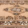 Performance Oriental Indoor Rug