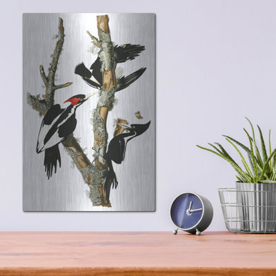 Art mural en métal luxueux, «Ivorybills Woodpecker» par John James Audubon, 16 po x 24 po