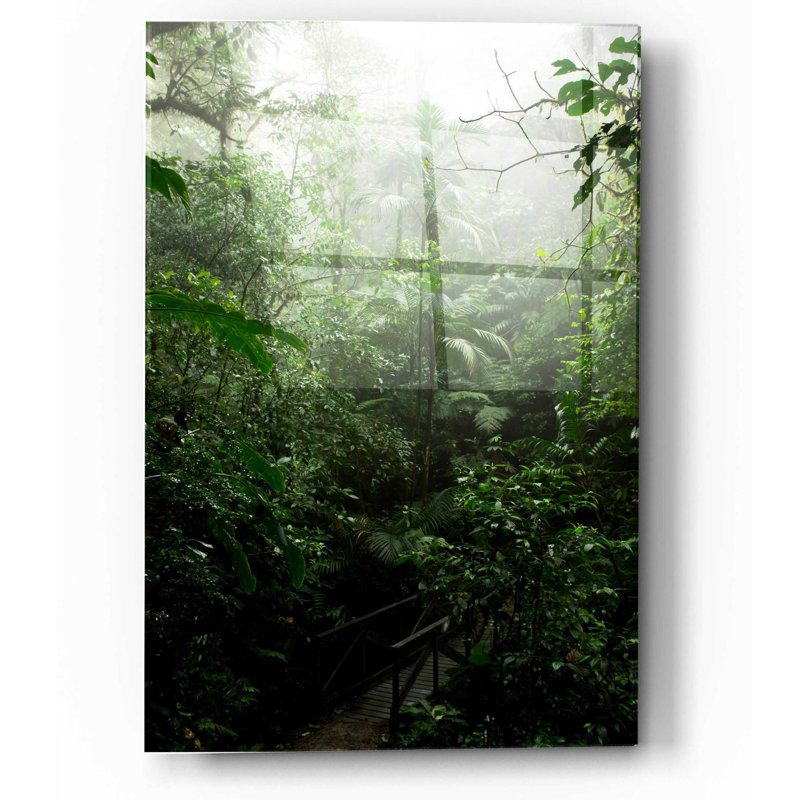 Art mural en verre Loon Peak «Into The Cloud Forest» par Nicklas Gustafsson, H 16 po x l 12 po x P 0,13 po