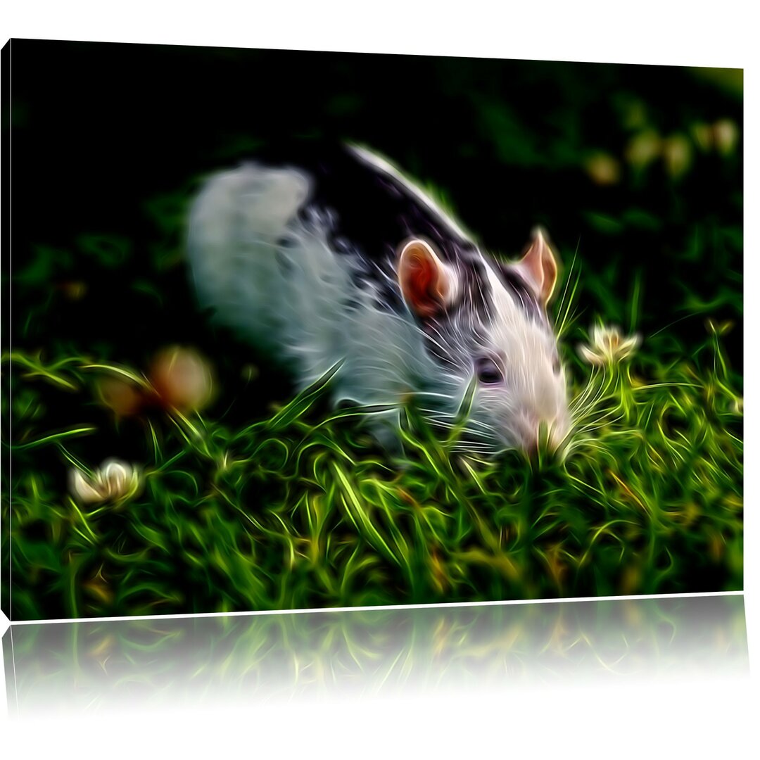 Leinwandbild Kleine Maus auf Blumenwiese in Dunkelgrün/Schwarz