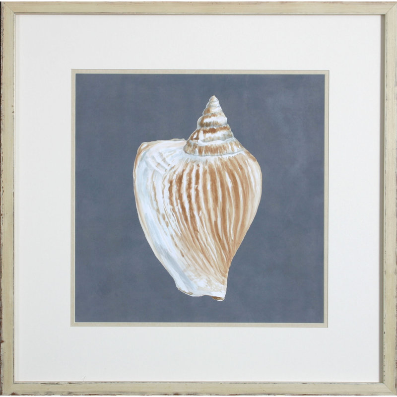 Shell On Slate VI Print by Meagher