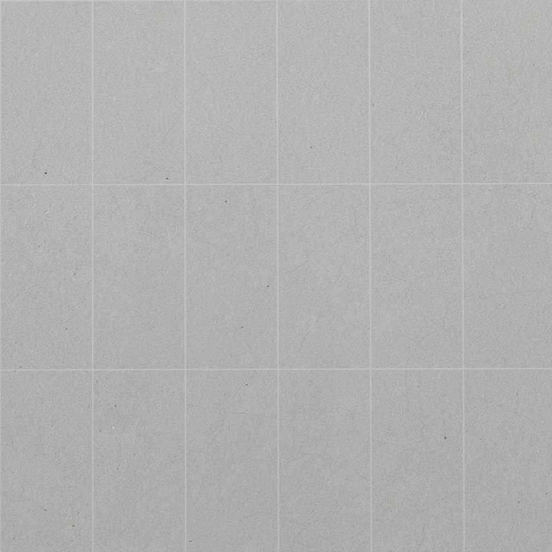 Spanish Pureform 12"x 24" Porcelain Floor and Wall Tile Case - (5 PCS, 10.76 Sq. Ft.), Natural Gray