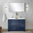 Lafarre 48 in W x 20 in D Double Bath Vanity and Faucet Set-113054786-113054788