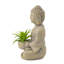 Ensemble 2 pièces bouddhas assis avec mini-plantes grasses