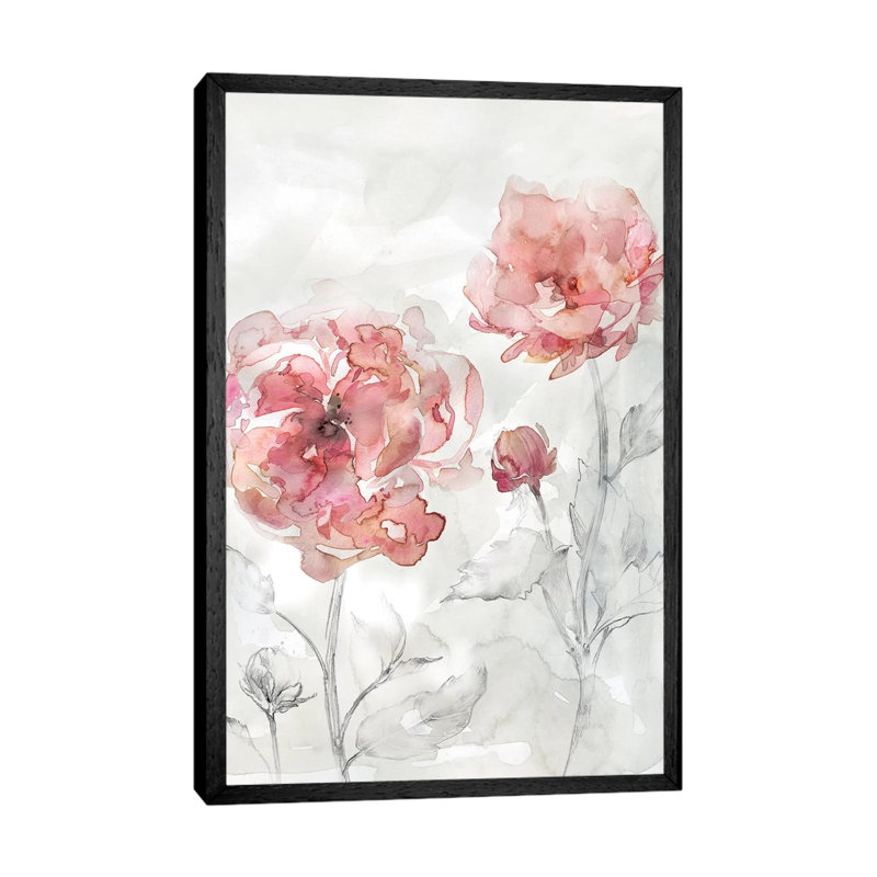 Blush Botanical II by Carol Robinson - Print on Canvas, Black Framed, 66.04 cm H x 45.72 cm W