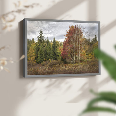 Woodland Variety -Framed Print - Restickable