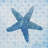 " Starfish " by Bluebird Barn-1568896127-1609058442