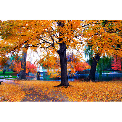 «Autumn in Boston Public Garden» par Coleong - Photographie sur toile tendue