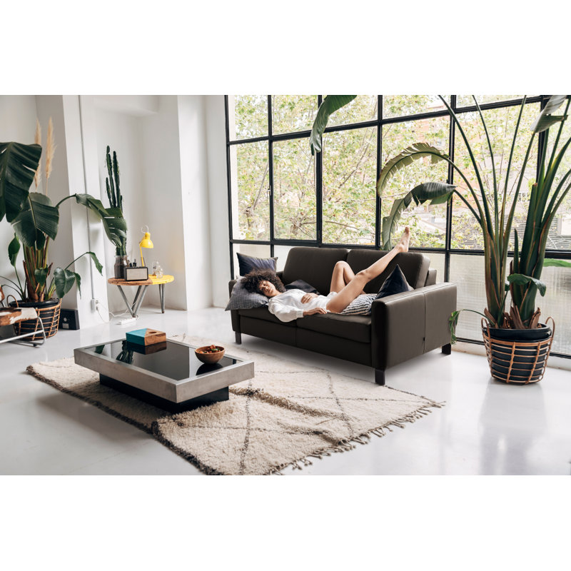 Najmul Genuine Leather Foldable Sofabed with Mattress, Brown