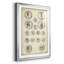 Antique Roman Coins IV - Picture Frame Print-814327878-814327865