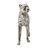 13x3x9" Animals Figurines & Sculptures