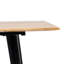 Noemi Metal Base Dining Table-908416469