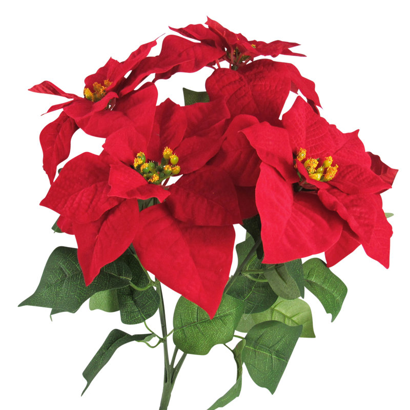 Buissons de poinsettias, H 20 po x l 13 po x P 13 po