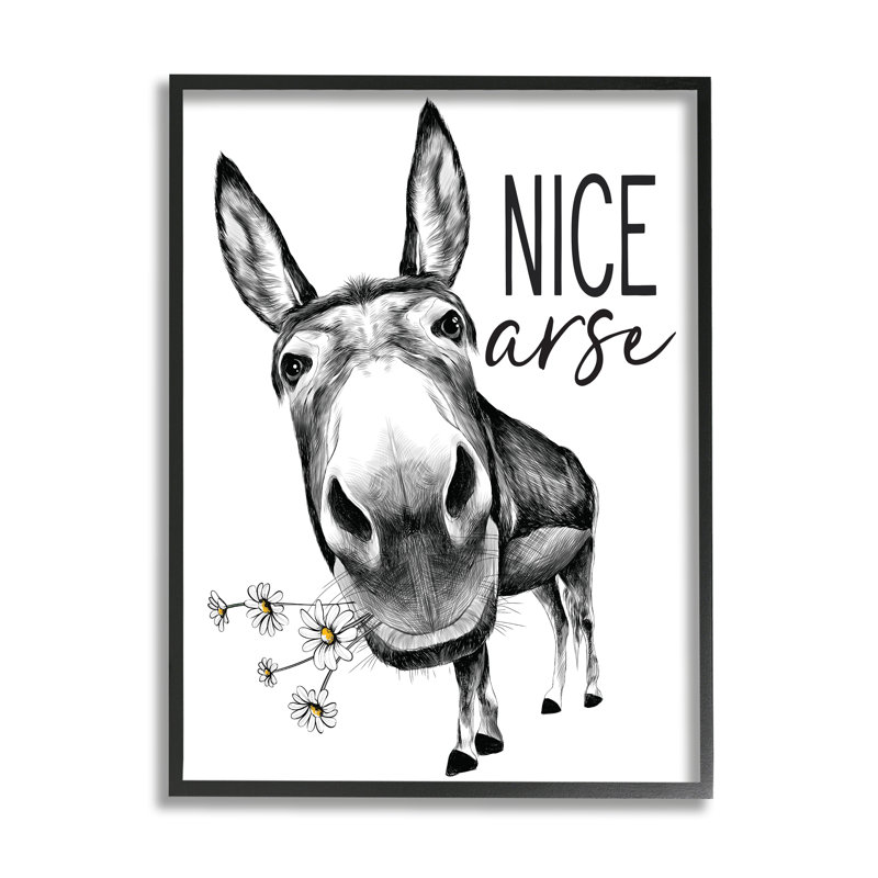 «Nice Ass», drôle d'âne, jeu de mots «Daisey» blanc avec lettres et lignes - impression, H 20 po x l 16 po