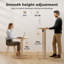 Adjustable Metal Base Standing Desk-206988054