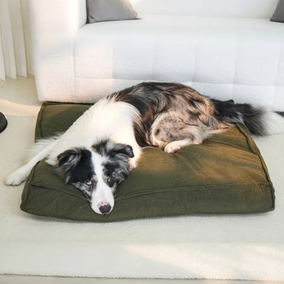 Lit pour chien 1PC - housse à fermeture à glissière amovible lavable à la machine, matelas pour animaux de compagnie doux pour petits chiens de taille moyenne, lit pour chien lavable de luxe en vert pour le salon, la chambre à coucher et l'extérieur, idée cadeau