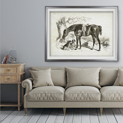 " Equine Sketch IV "