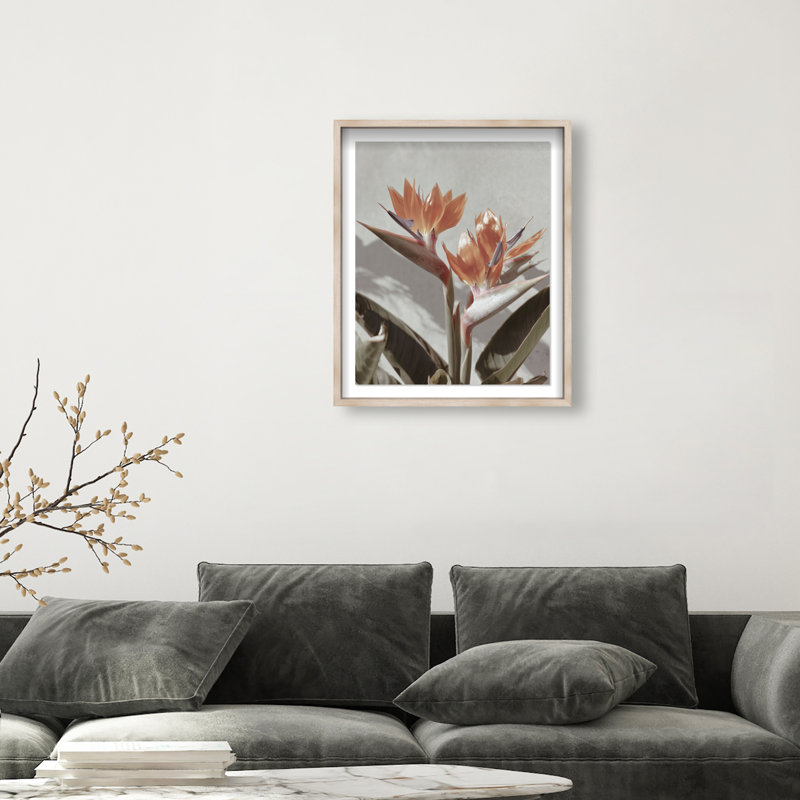 Coral Flower Shadowbox Floral & Botanical Print by Oliver Gal, Black Frame, 16 x 20, Natural Oak Shadowbox, 25.5"H x 31.5"W