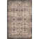 Tuthill Performance Oriental Rug