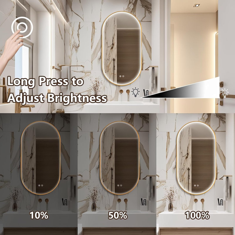 Miroir de salle de bain ovale à éclairage DEL 48 po x 24 po, cadre doré, éclairage frontal, 48" H x 24" W