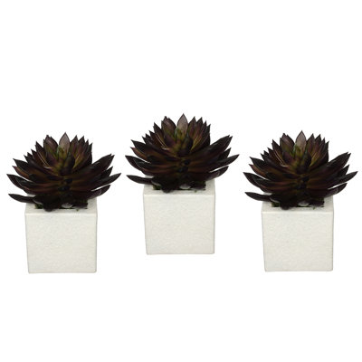 Plante echeveria à pointe artificielle dans un pot de fleurs