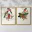 ElegantTrogonsIX - reproduction encadrée de qualité supérieure - prête à être accrochée - aucun clou requis - aucun clou requis-1574424708-1574424707