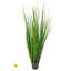 Herbe à pales UV 48 po-2050178011