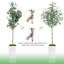 Paislee Artificial Eucalyptus Tree , Faux Eucalyptus Tree with Tall White Planter, Realistic Leaves-344450664