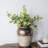 Round Sienna Brown Ceramic Accent Vase-1256468752
