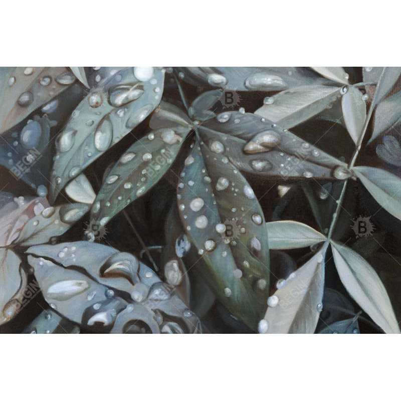 " Leaves After Rain "