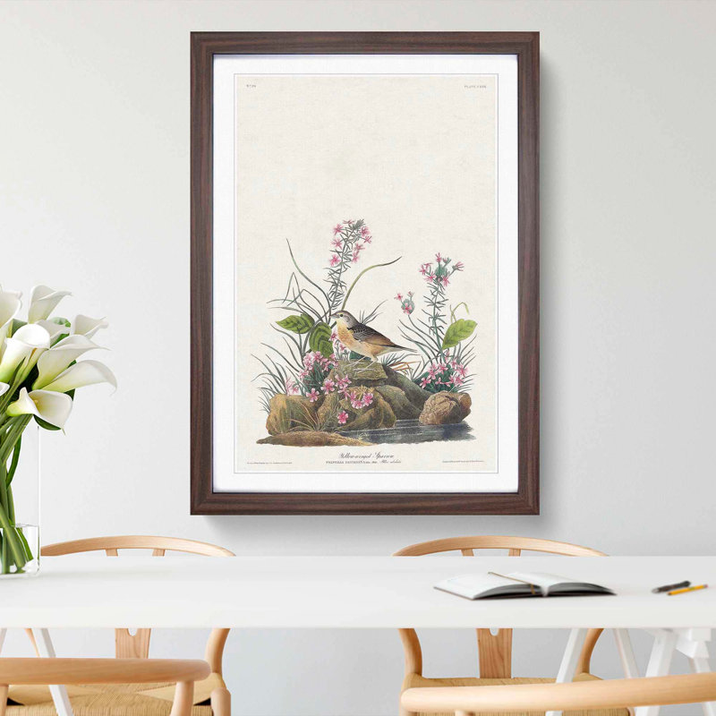 Yellow-Winged Sparrow by John James Audubon - Picture Frame Art Print, Walnut Framed, 36cm H x 27cm W x 2cm D