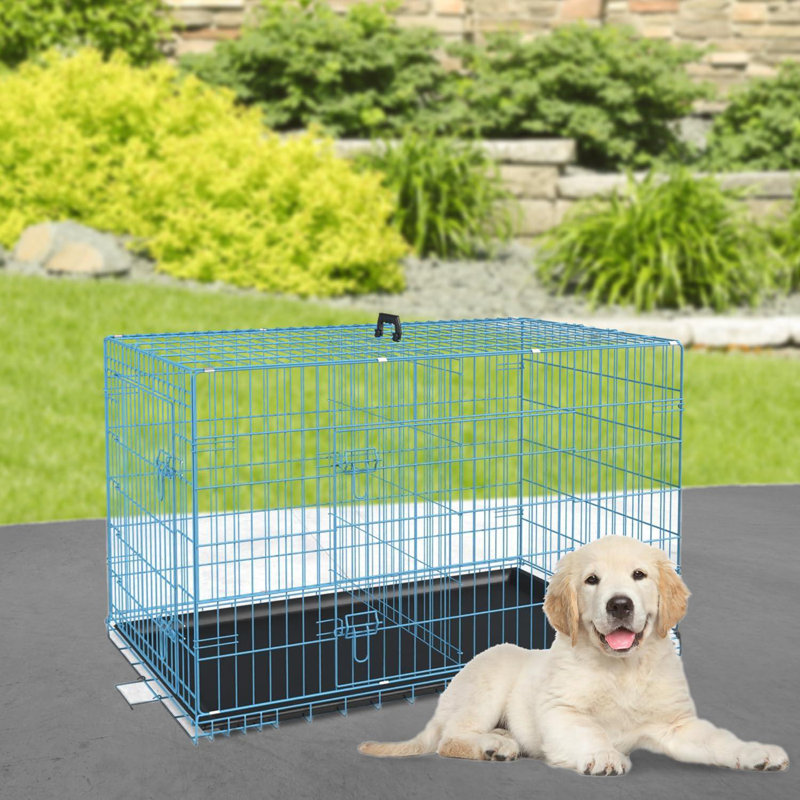 Cage pour chien Cage pour chien portative et pliable pour l'intérieur et l'extérieur Résistant aux intempéries Chenil pour chien en métal à double porte verrouillable avec cage et poignée de plateau amovible pour chien