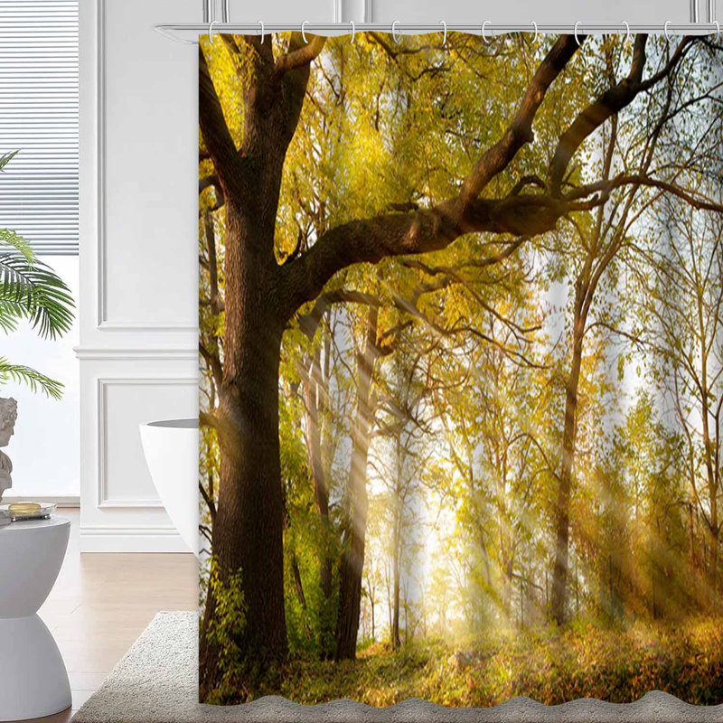 Rideau de douche Old Tree Autumn Park Sunrise Forest avec 12 crochets, L 72 po x l 78 po