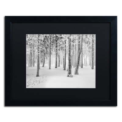 « frozen world », reproduction de photo encadrée