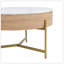 Table basse moderne à plateau relevable avec rangement spacieux et trois repose-pieds complémentaires, parfaits pour les espaces de vie polyvalents-1670842996