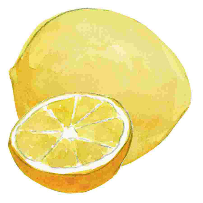 " Lemon Magnet ", 30" H x 30" W  