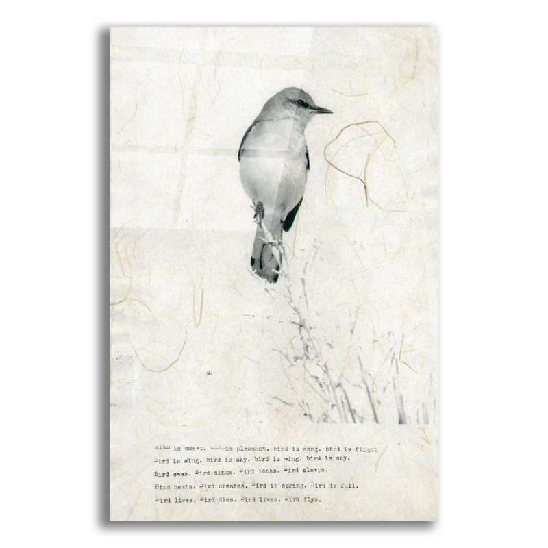 «Bird Is Sweet» par TypeLike, H 24 po x l 16 po x P 0,2 po
